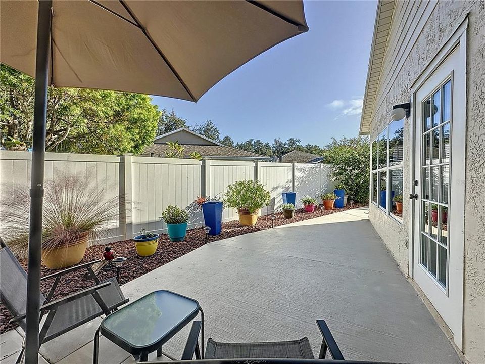 Back fenced in back yard with Butterfly plants.