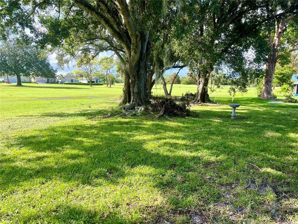 Bent Tree golf course.