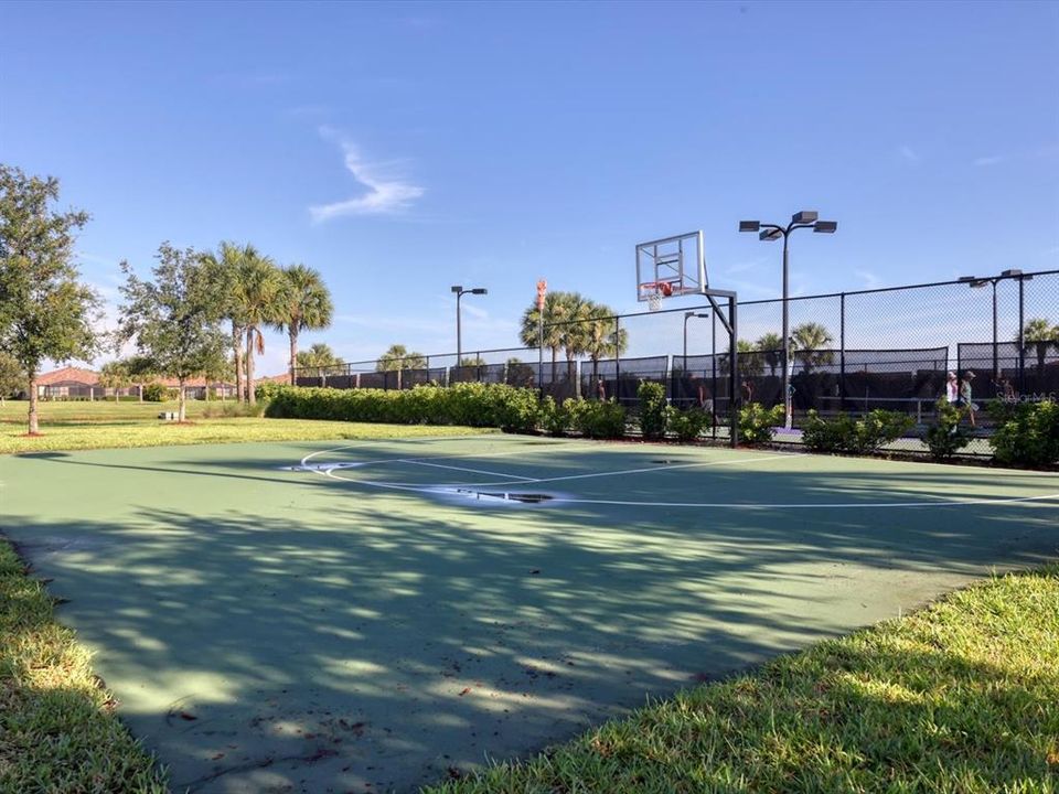 Basketball Court