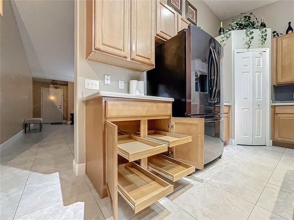 Upgraded Slide out Cabinets