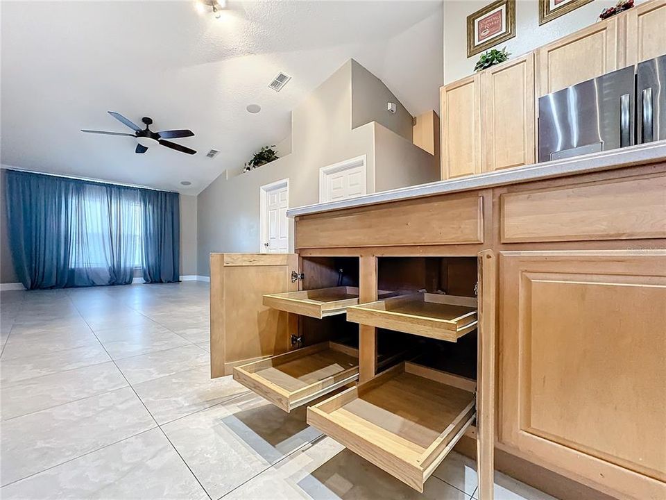 Upgraded Slide out Cabinets