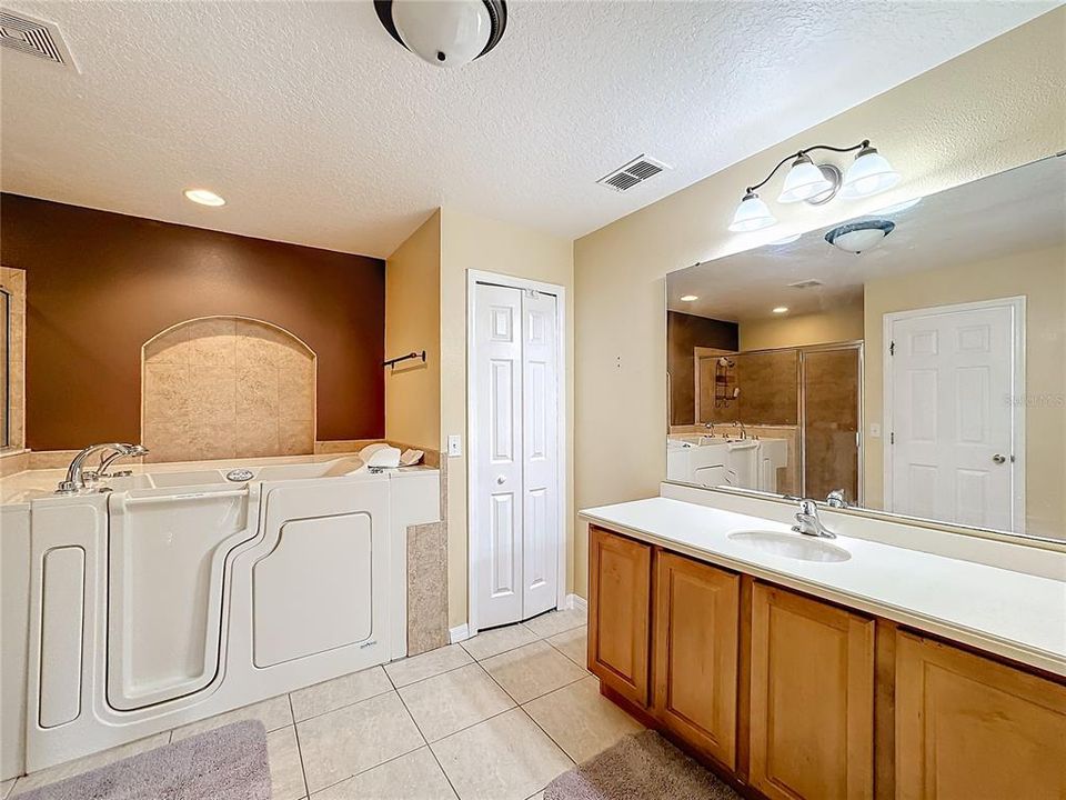 Master Bathroom sitting jetted Tub