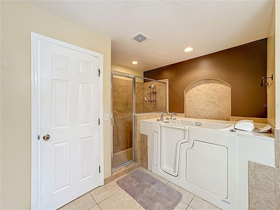 Master Bathroom sitting jetted Tub & Standing Shower