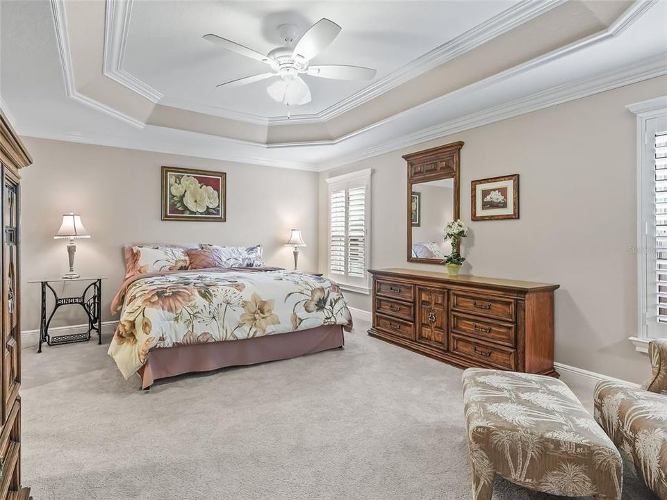 Large primary bedroom with trey ceiling