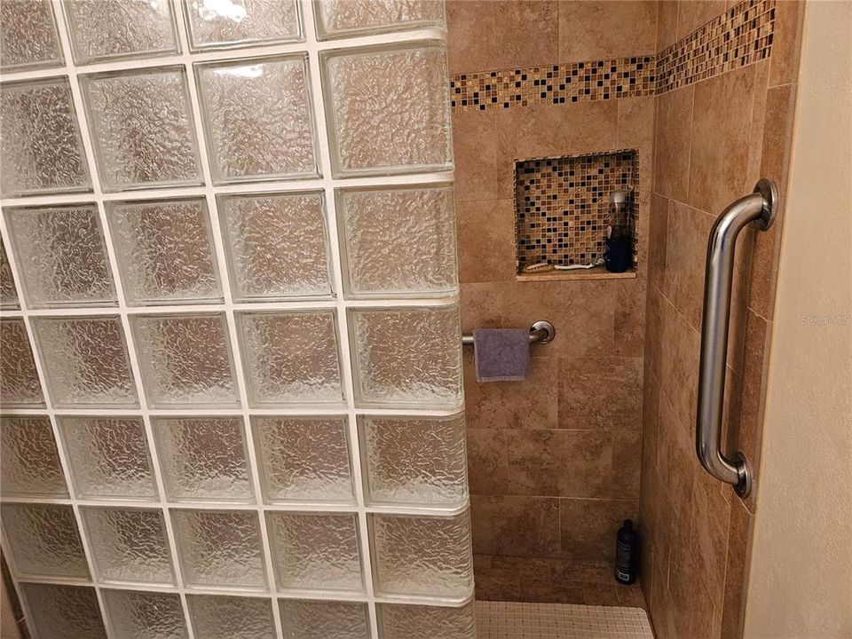 Safety bars in Shower