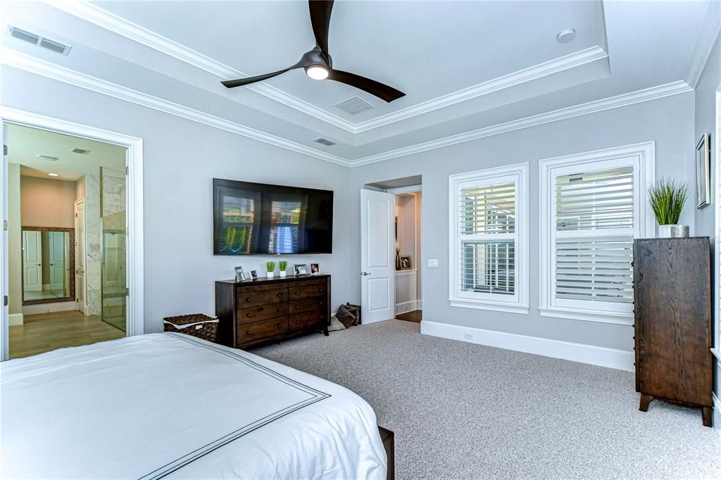 Tray ceiling, large windows!