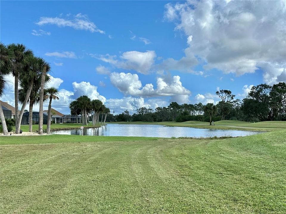 Pond view from back yard