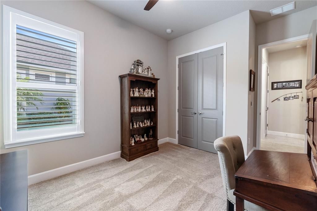 Built-in Closet & Plantation Shutters on Window