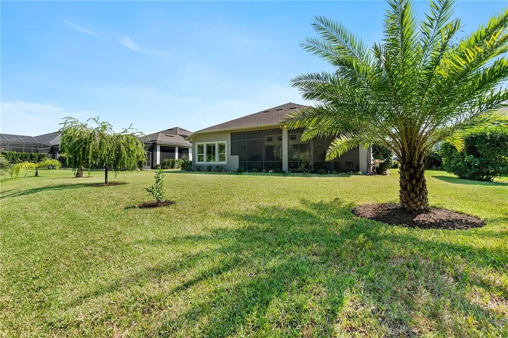 Lush & Manicured Landscaping