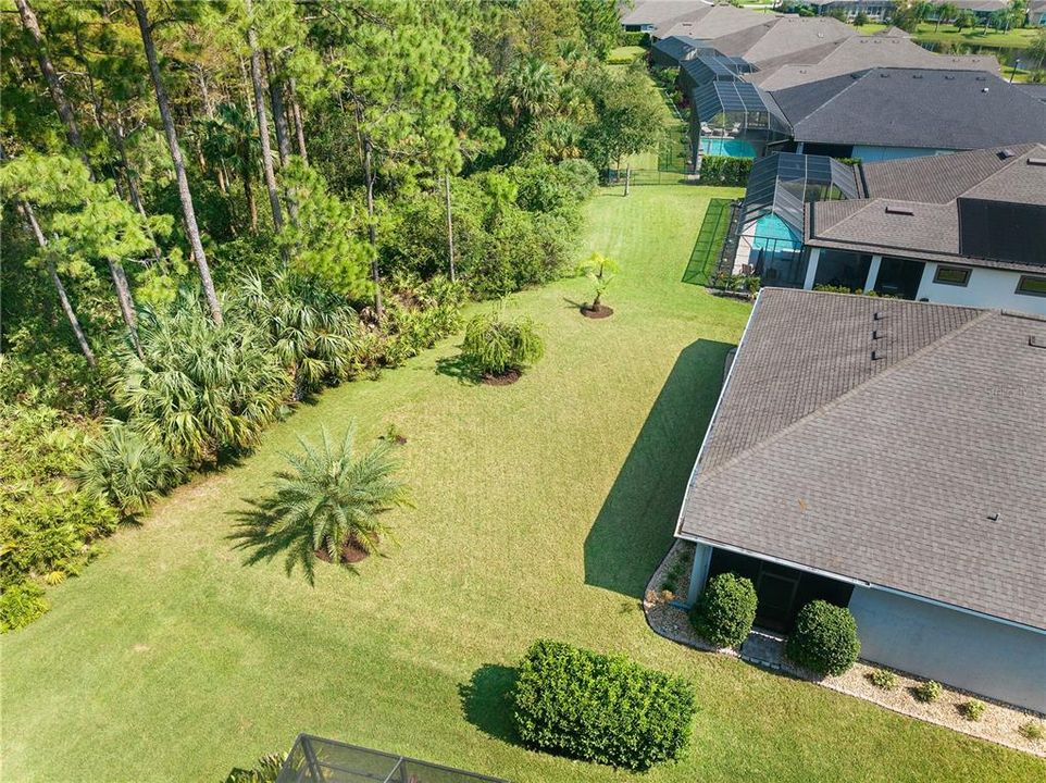 Aerial View of Backyard