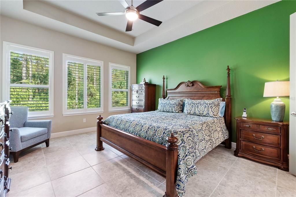 Master Bedroom w/Tray Ceiling