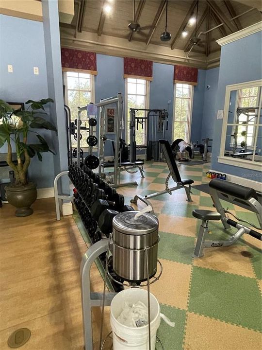 Weight and Fitness Room in Clubhouse