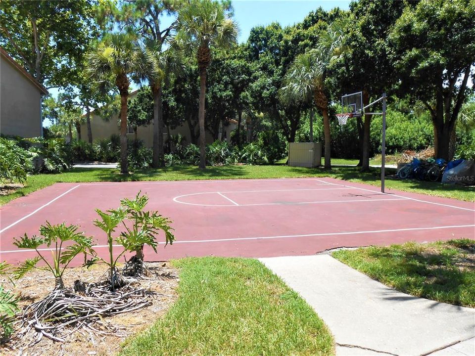 Basketball Court