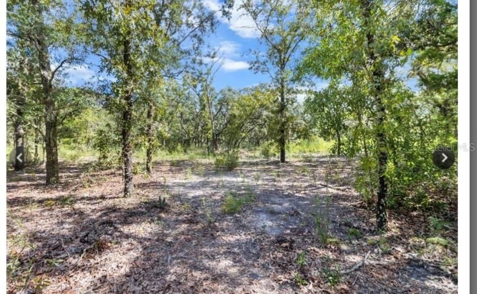 На продажу: $265,000 (10.56 acres)