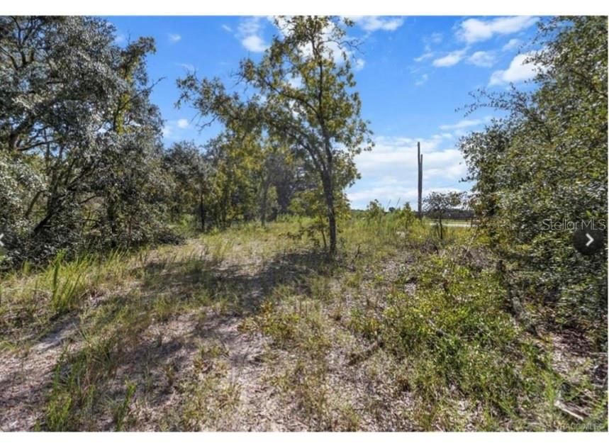 En Venta: $265,000 (10.56 acres)