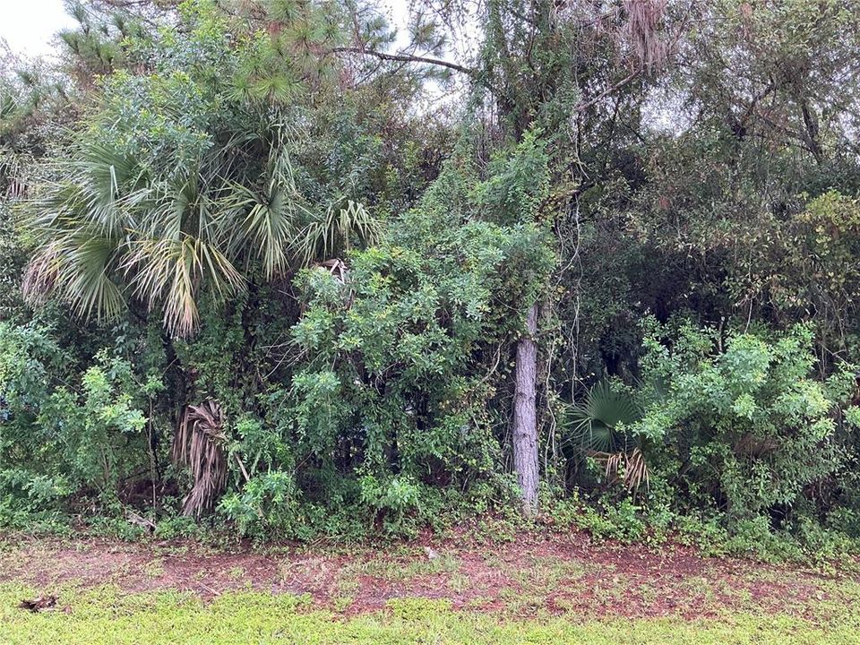 最近售出: $38,500 (0.21 acres)