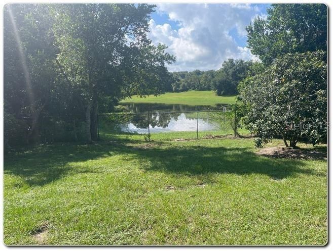 Pond view