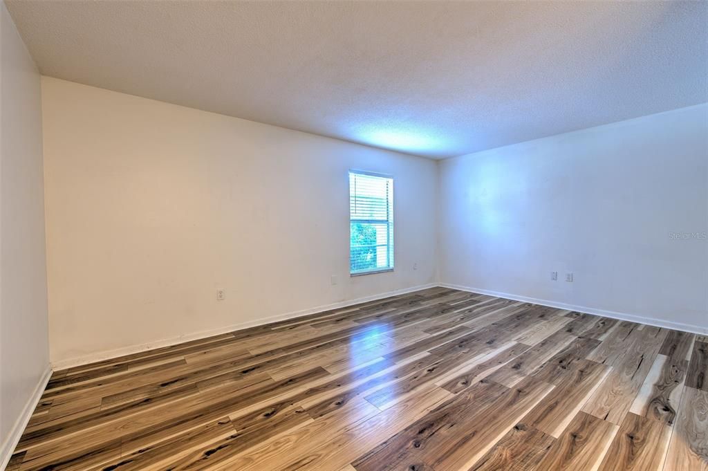 Living/Dining area combo