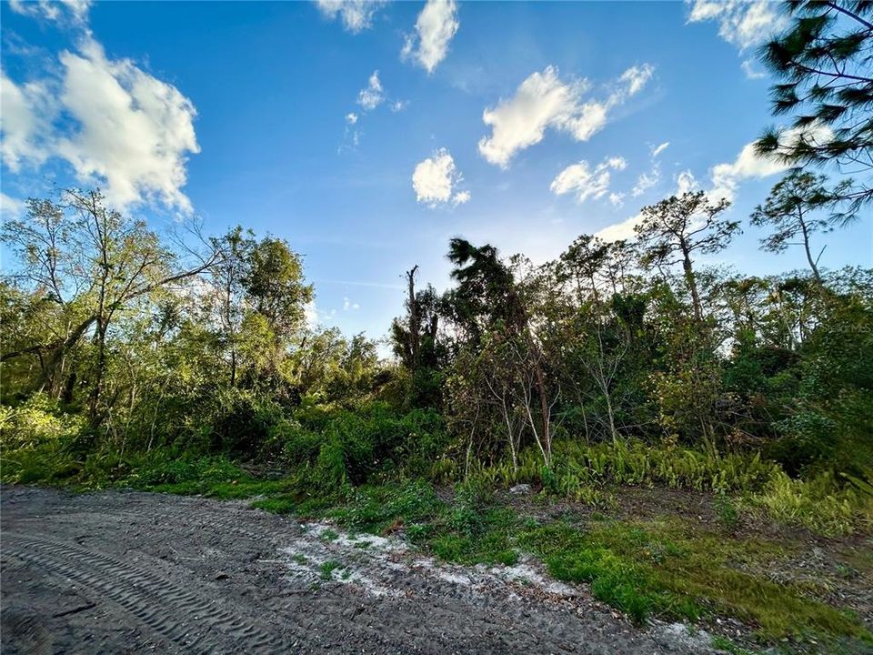 En Venta: $99,000 (0.43 acres)