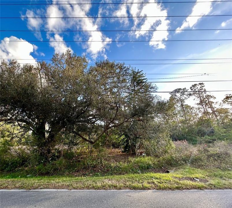 En Venta: $99,000 (0.43 acres)