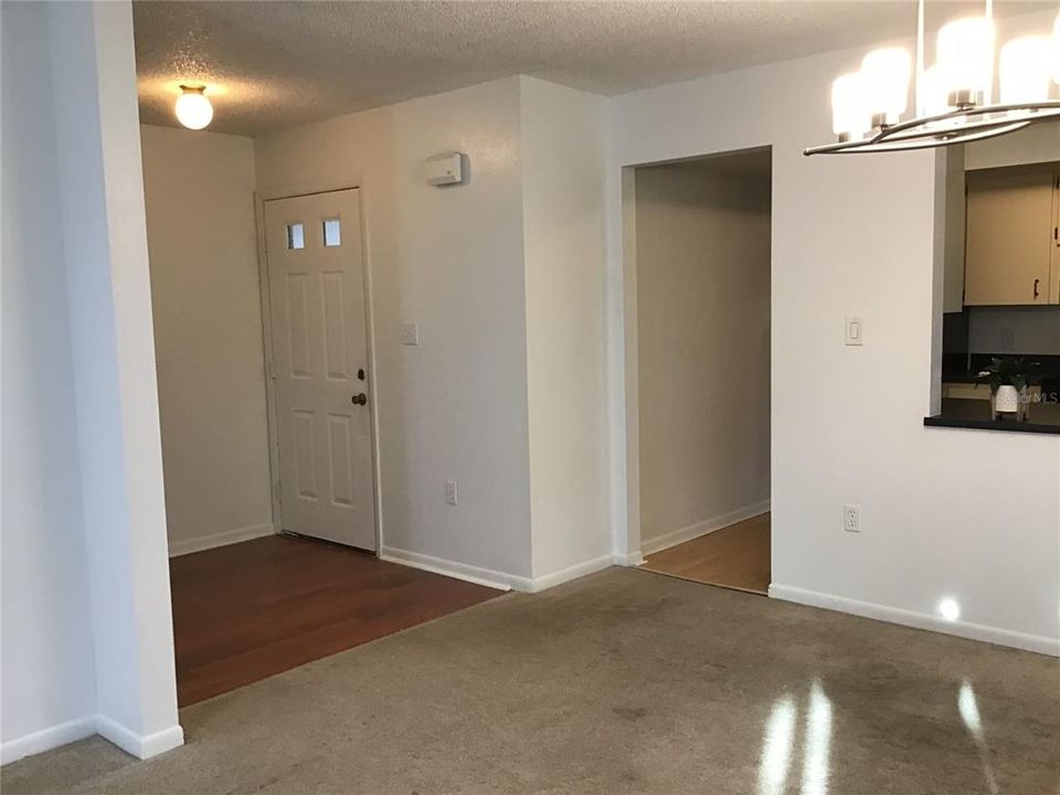 Foyer going into living area