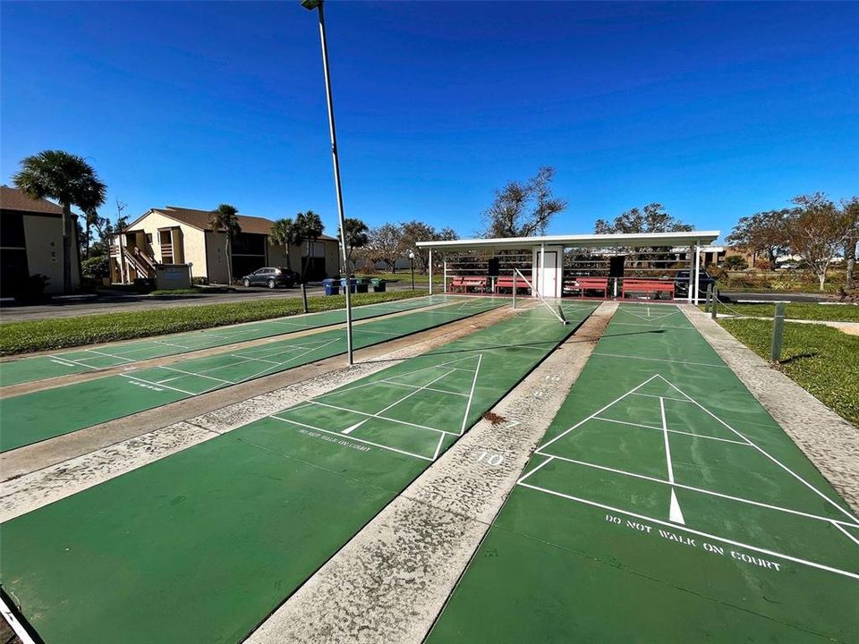 SHUFFLEBOARD ANYONE??