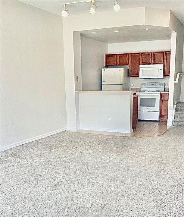 Dining Room/Kitchen Downstairs