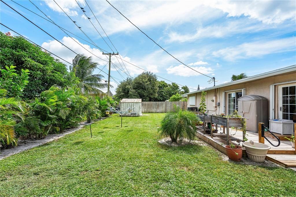 Backyard - perfect for bird watching