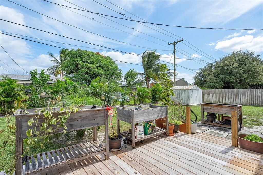 Backyard with new decking