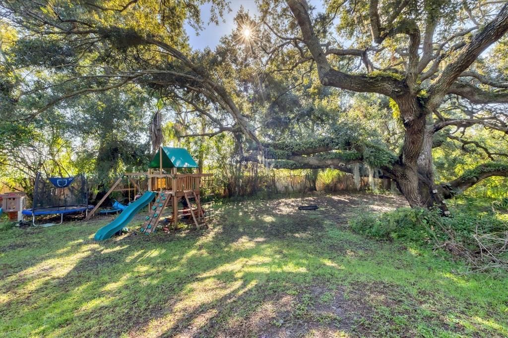 very large private backyard