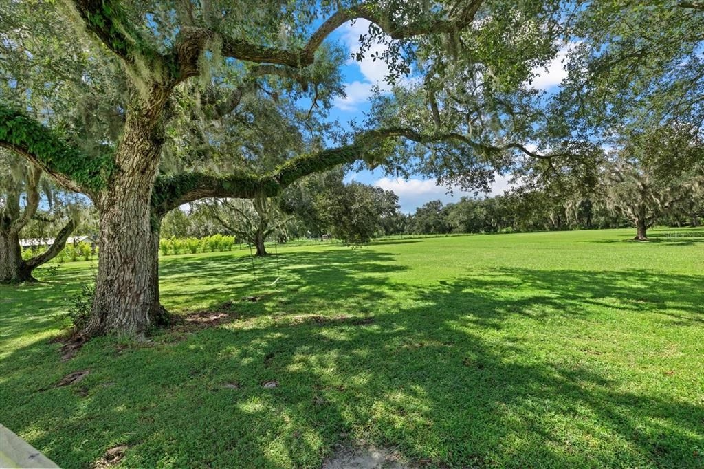 Views onto your 4 +/- acres of pasture space