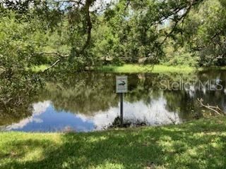 View of pond in back yard