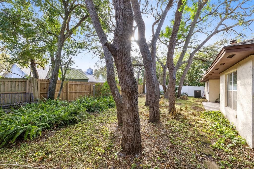 Embrace your green thumb with your own pineapple plants, and envision the possibilities for a garden, fire pit, or even a pool in this expansive outdoor space.