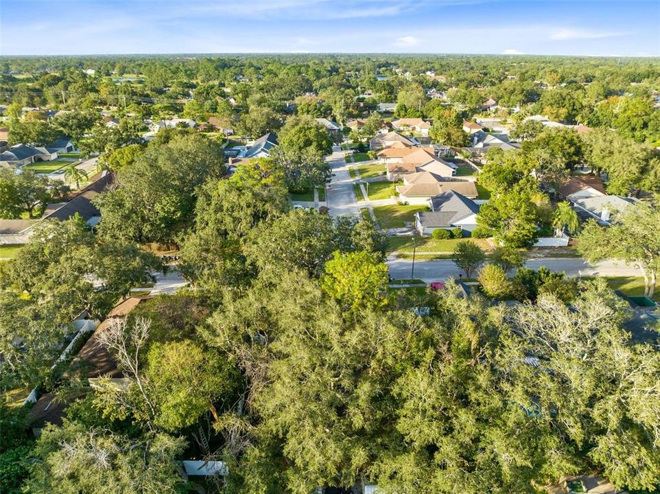 Aerial view of the neighborhood.