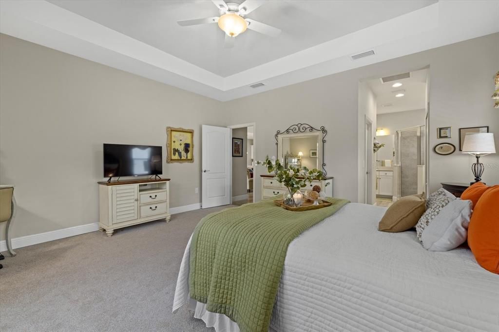 Primary bedroom with tray ceiling