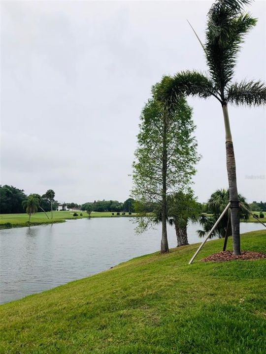 Peaceful view and small lake and Fairway