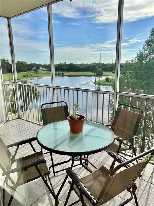 Tranquil views from the screened terrace.