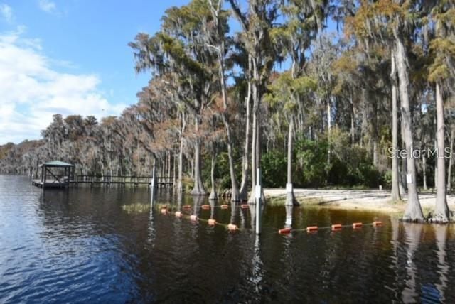 Lake Pickett Beach