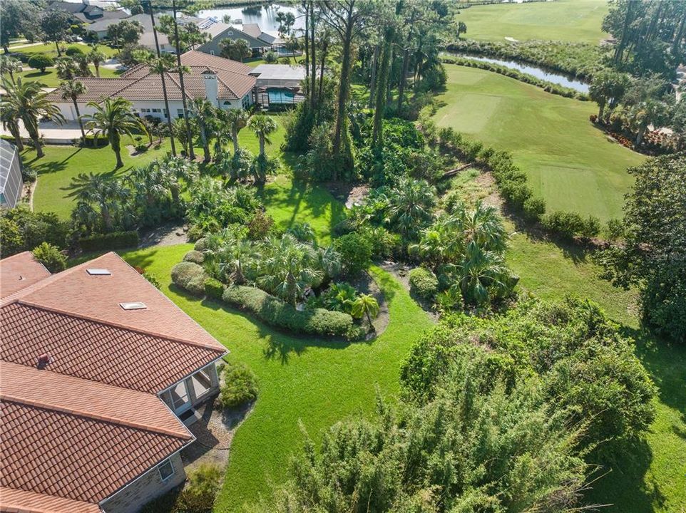 Aerial View of Backyard