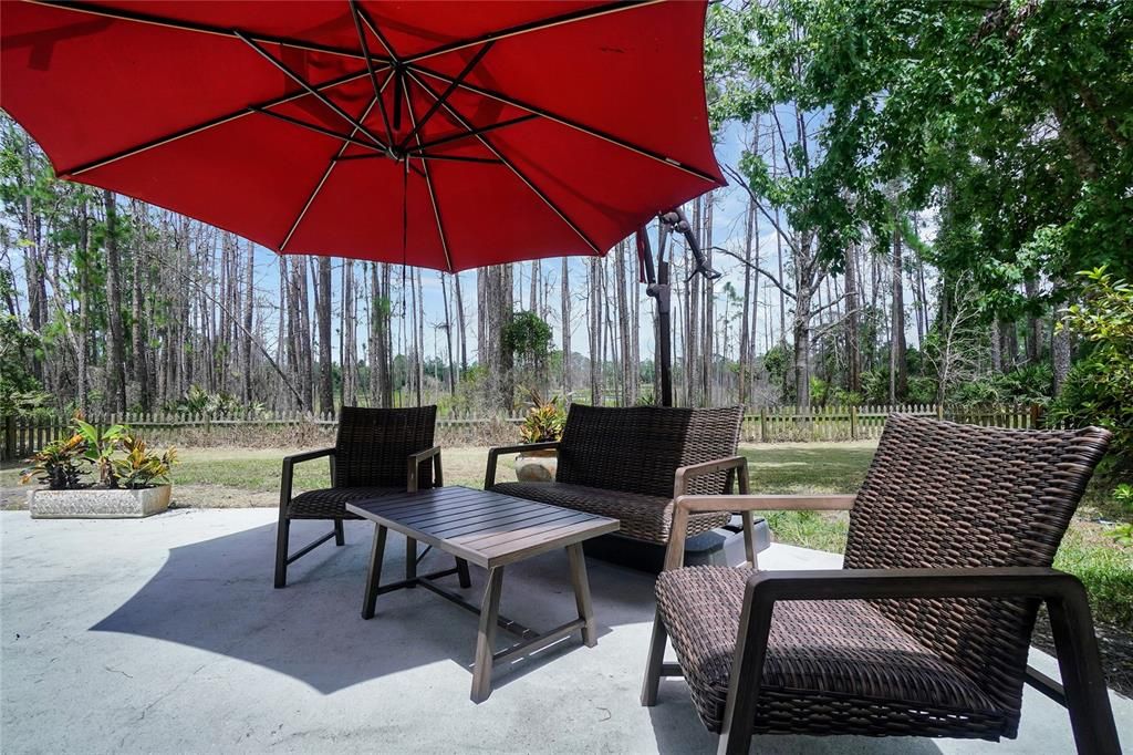 Backyard rear patio