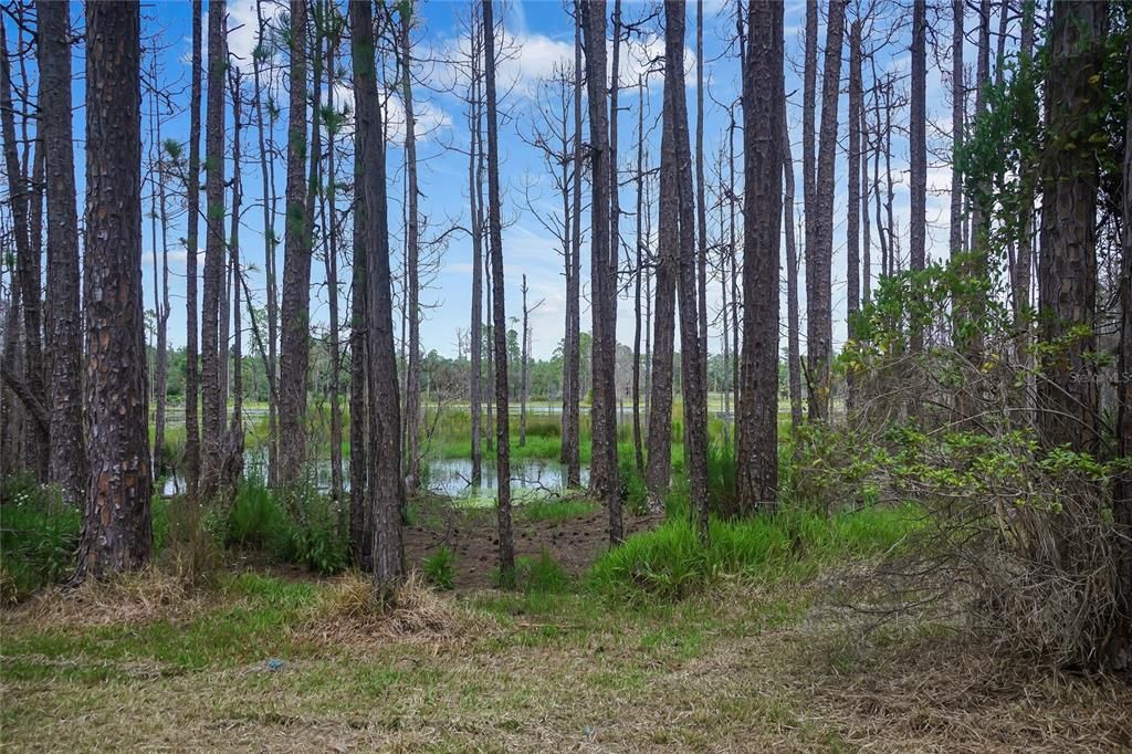 Pond view in back of the home