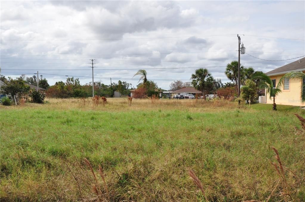 En Venta: $47,900 (0.17 acres)