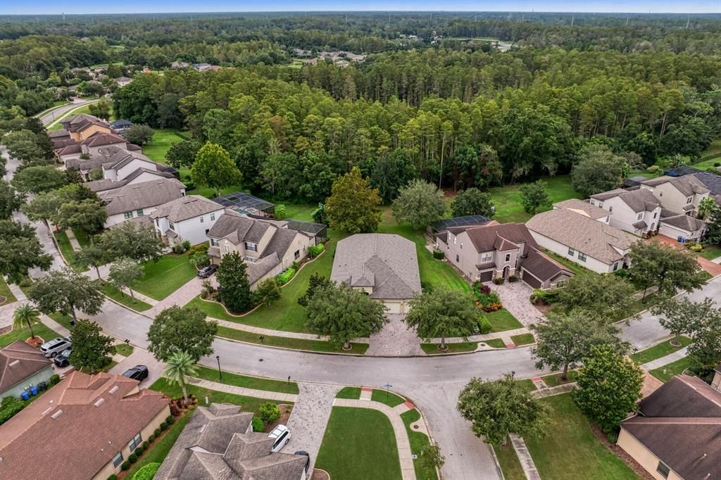 More aerial views of the property and no rear neighbors