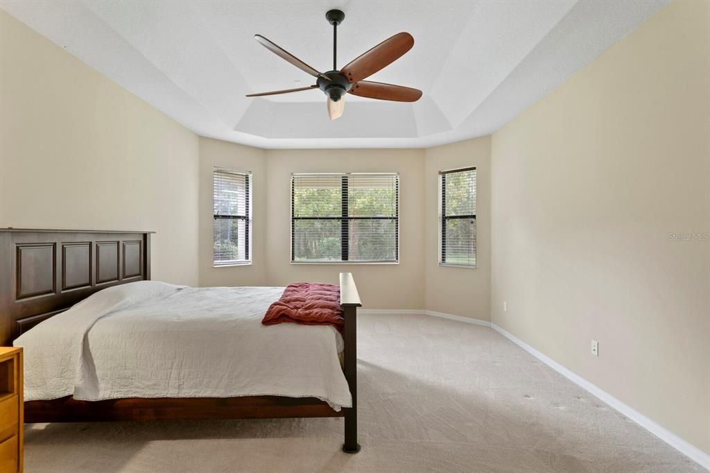 Tray ceiling and oversized fan in the primary suite