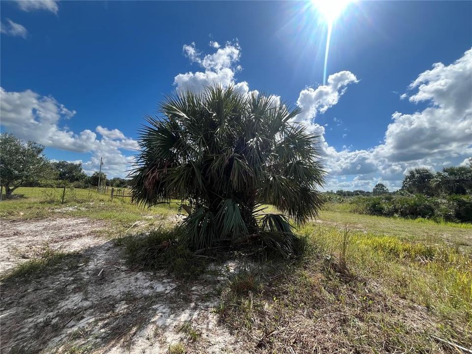 For Sale: $26,900 (1.25 acres)