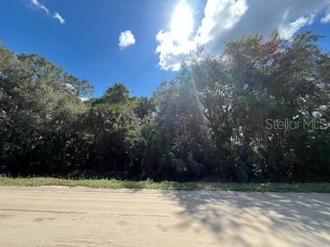 En Venta: $23,900 (1.25 acres)