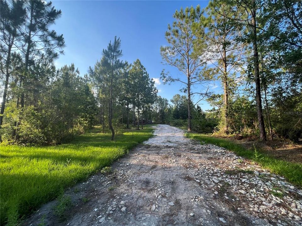 long driveway