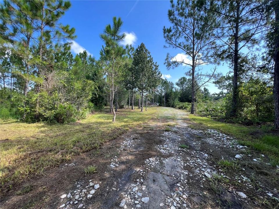 looking into lot from street