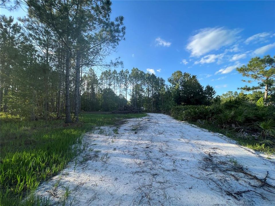 long driveway