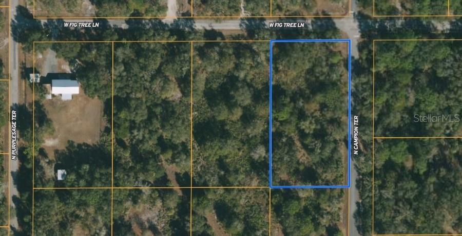 For Sale: $28,900 (1.16 acres)